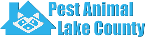 Lake County Wildlife and Animal Removal